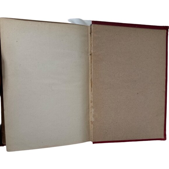 Antique 1879 Book Figs and Thistles Western Reserve Romance Albion Tourgee - Picture 12 of 13